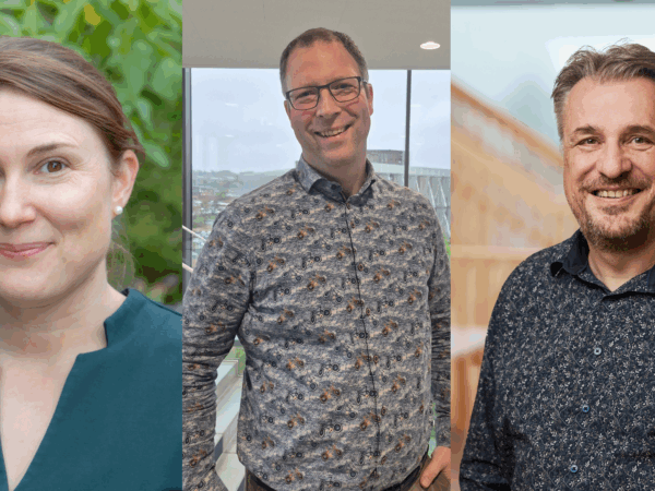 UDFORDREDE ENERGIPLANLÆGGERE