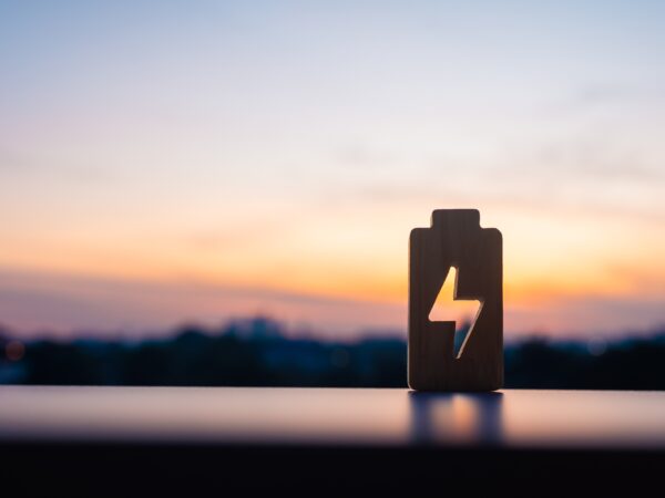 EL-SYSTEMET SKRIGER PÅ LAGRING